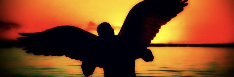 mrPoLaT44's profile banner image