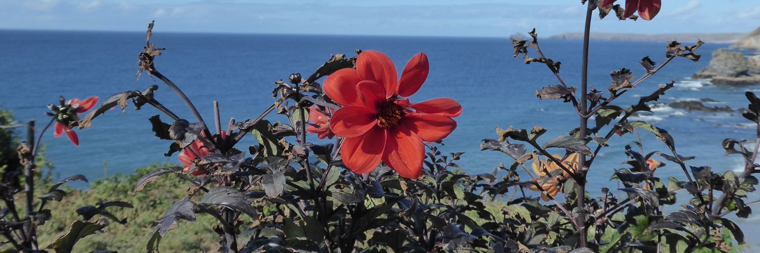 Heartlinesonmyhand 🍑 banner