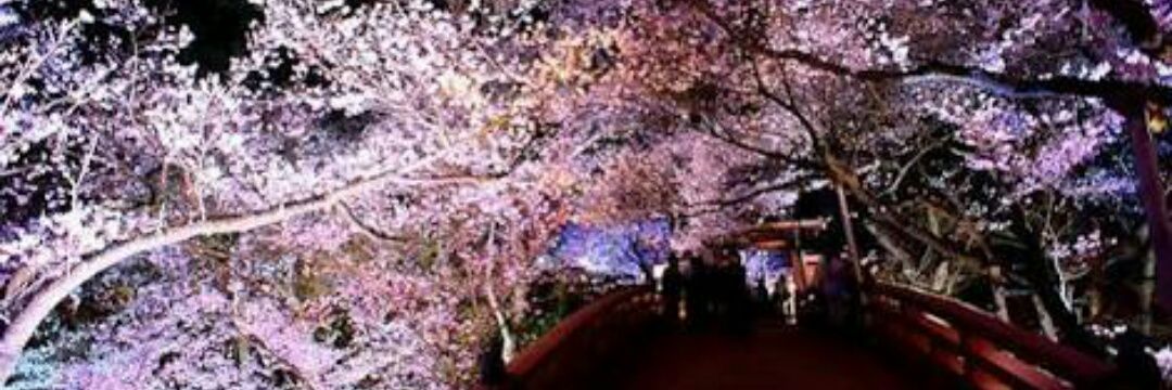 Akimo7230's profile banner image