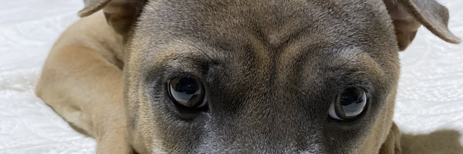 1996mello's profile banner image