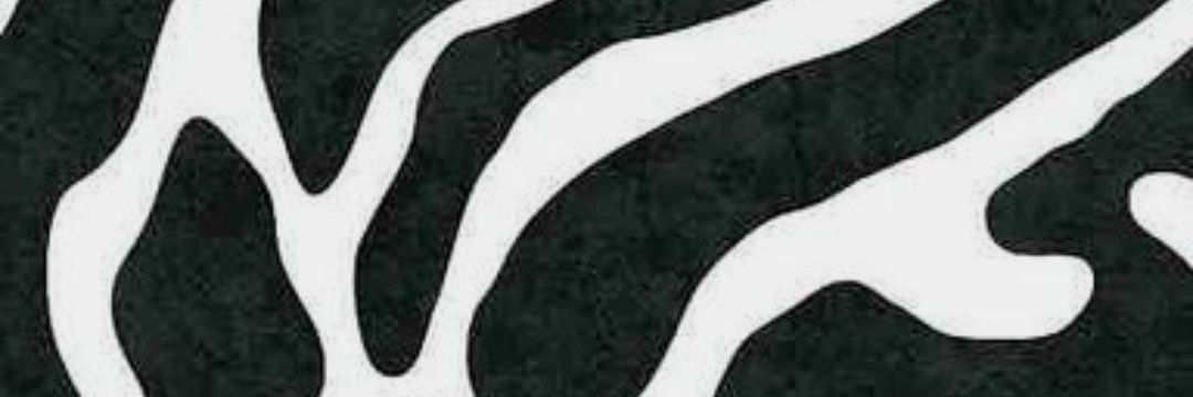 mbarbarx's profile banner image