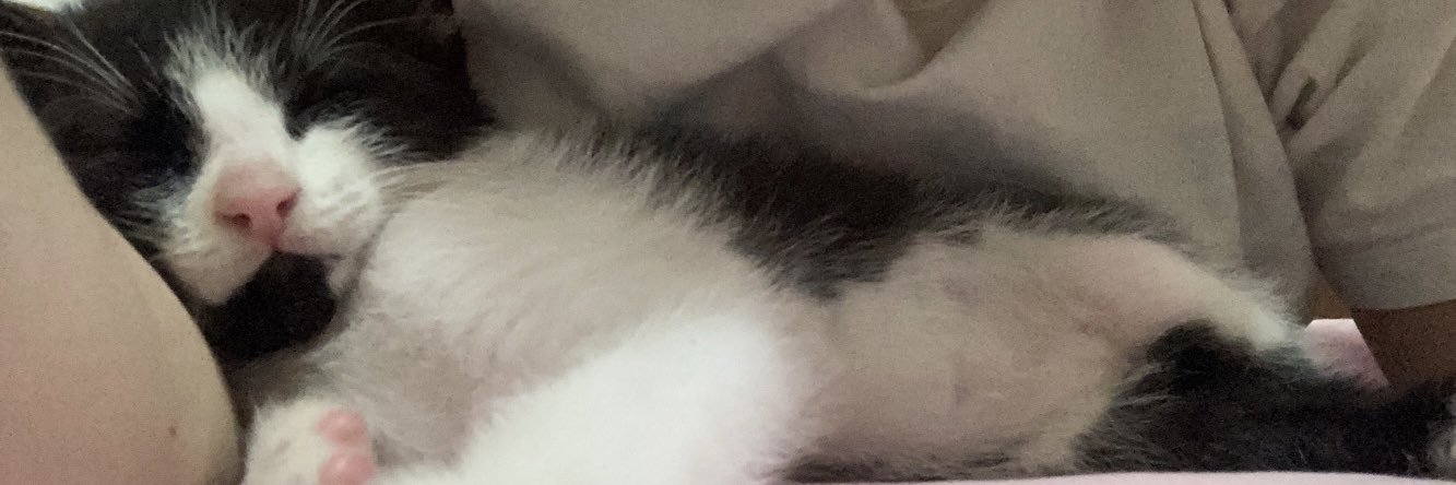 dinizcatarin's profile banner image
