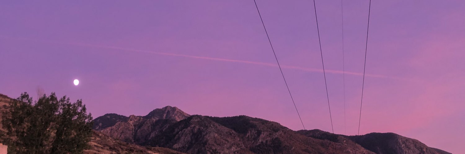 ash noele banner