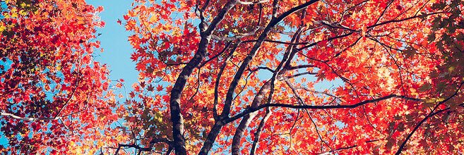 ECaudle78's profile banner image