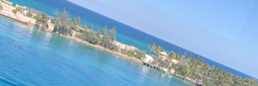 FA5Angel's profile banner image