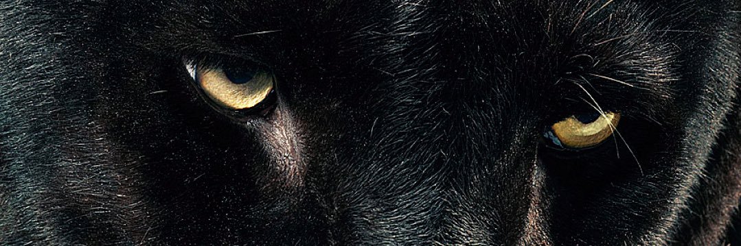 romvn__'s profile banner image