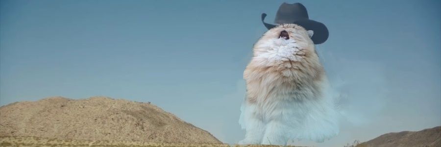 _emilyriendeau's profile banner image