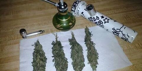 tokess87's profile banner image