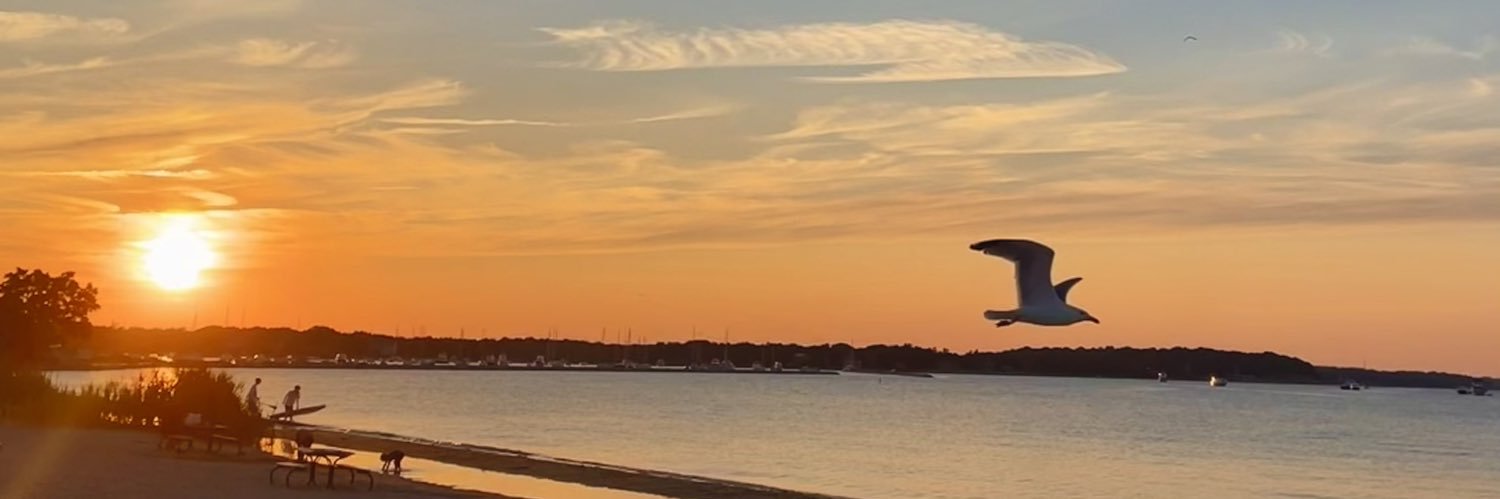 andreasarmg31's profile banner image