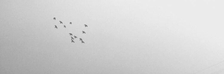 ja12111's profile banner image
