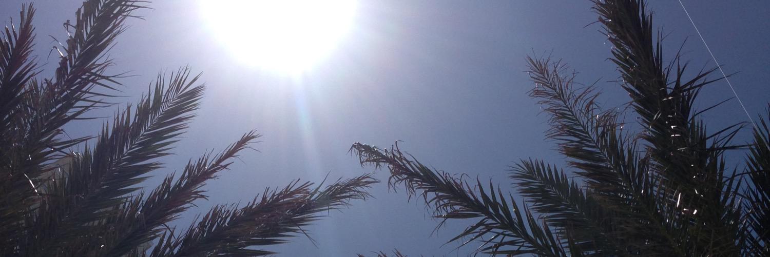 ElysiaPie's profile banner image