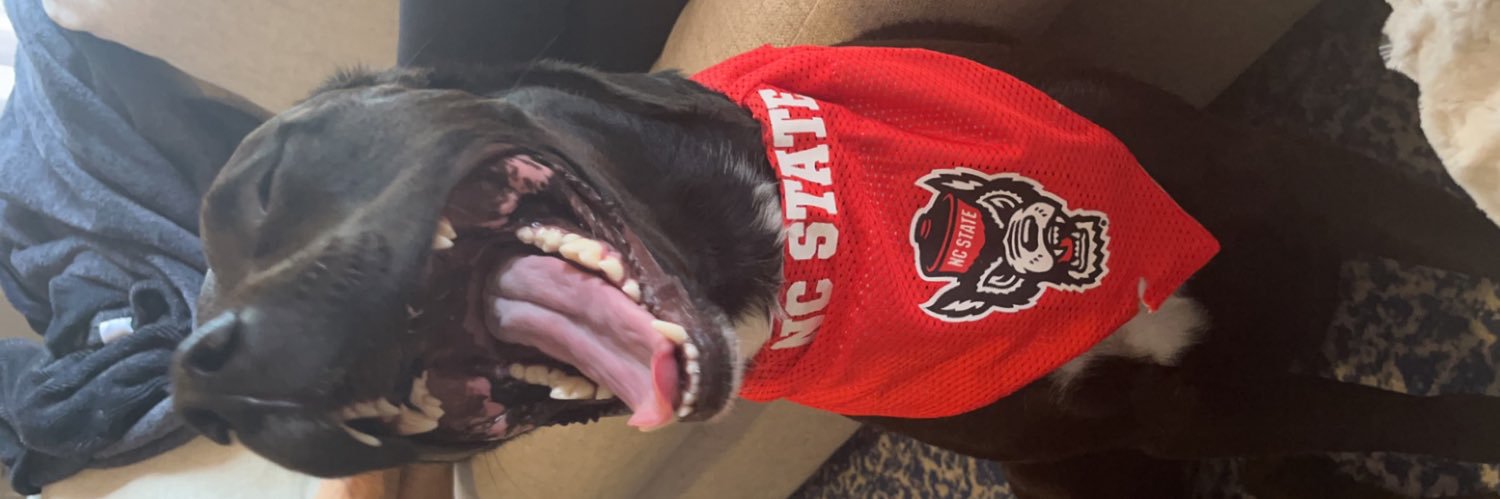 Kloebeashi's profile banner image