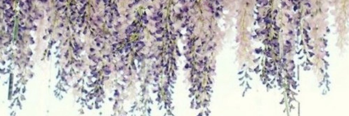 Ms_Lashae's profile banner image