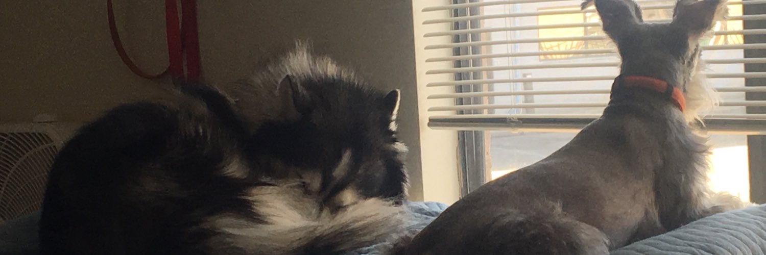 MrsShanta13's profile banner image