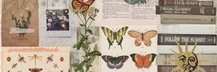 AddiPrather's profile banner image