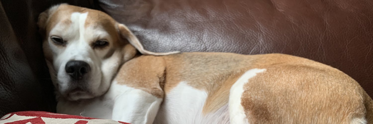 Beccastinks's profile banner image