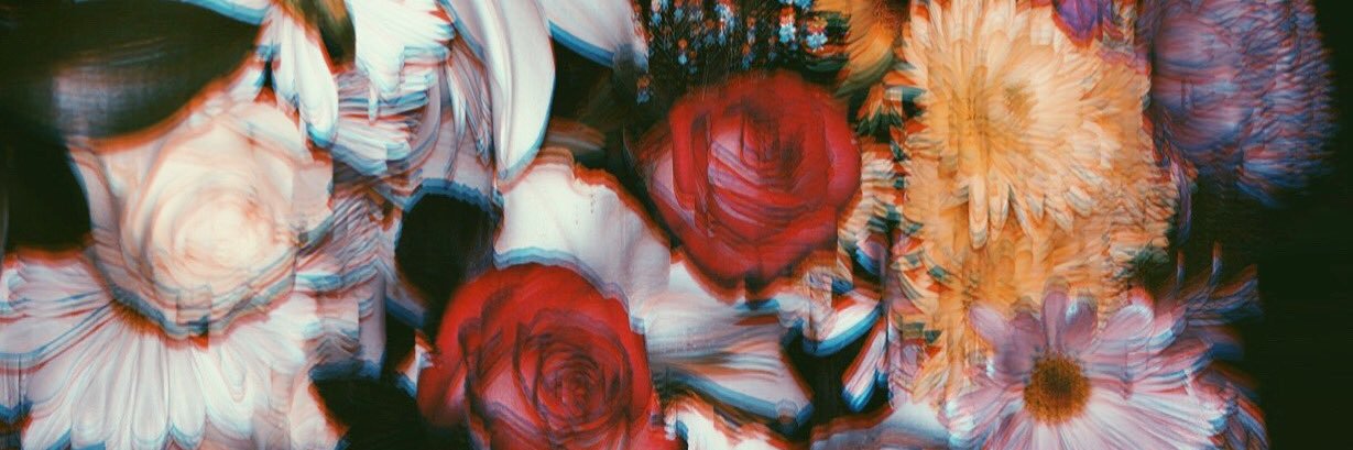 emandaadlund's profile banner image