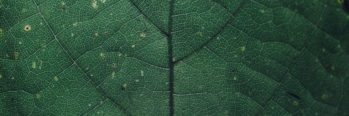 PocasGrenas's profile banner image