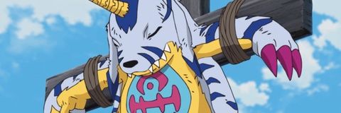 ToxyTCG's profile banner image