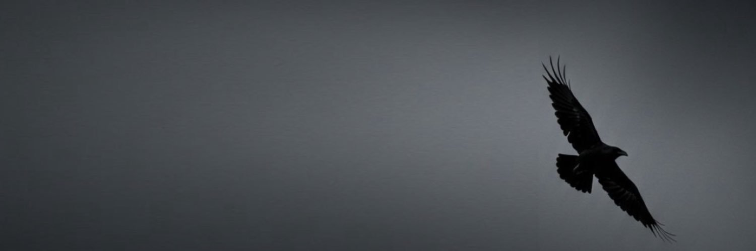 ️️ ️️️️️️ banner