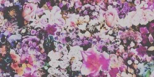 ZoeRPGNYF's profile banner image