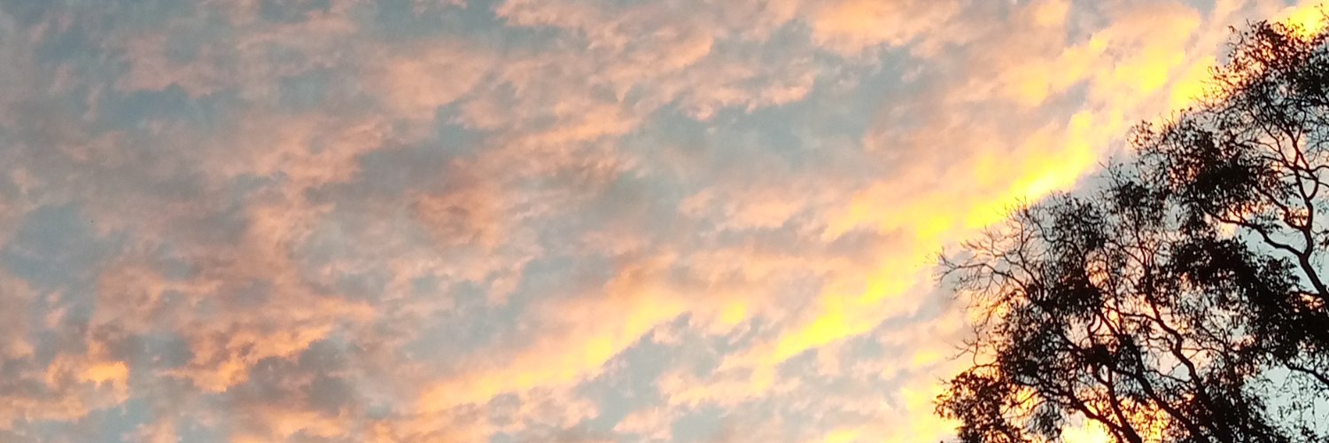 sonimar0707's profile banner image