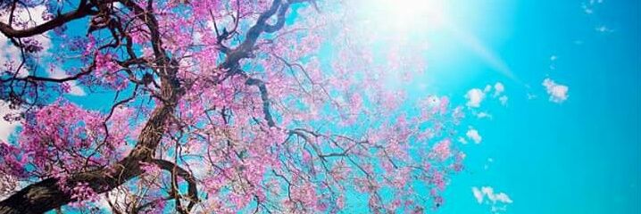 gemviaaa's profile banner image