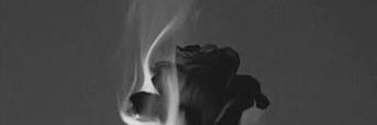 manddiex's profile banner image