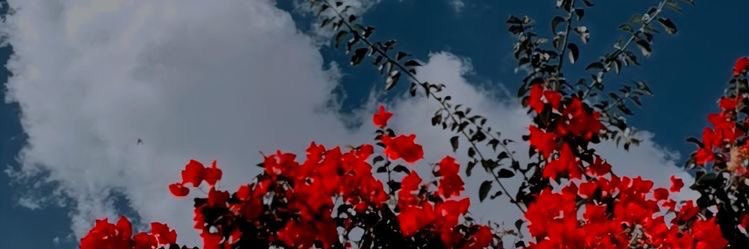 marz ᥫ᭡ banner