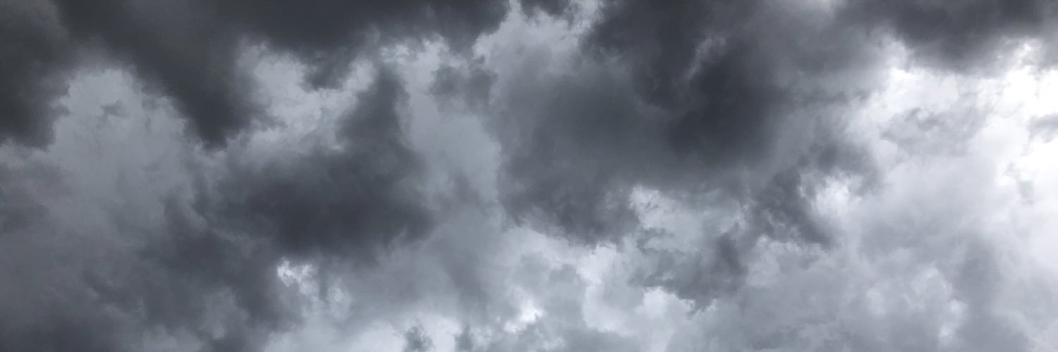 Cheyenne Rose ♡ banner