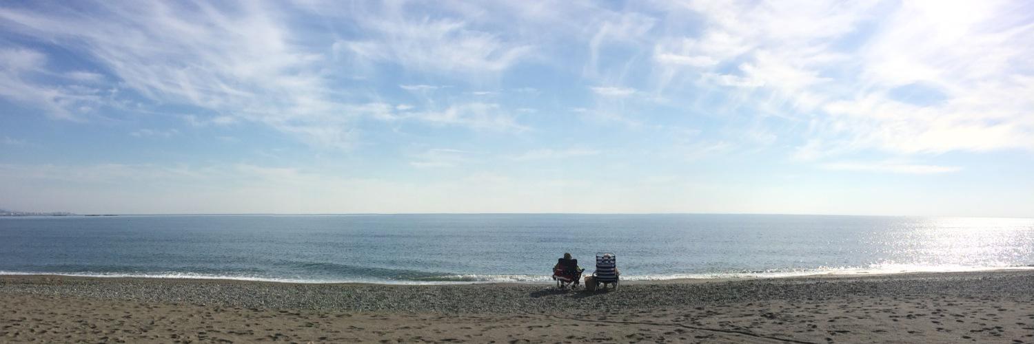 Dimitrie del Torre banner