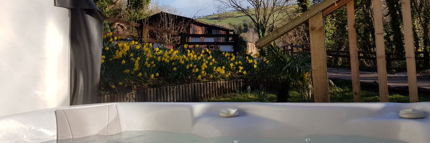 Sarah Dace ❤️ banner