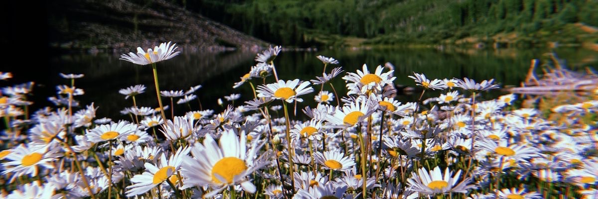 HanMolo2's profile banner image