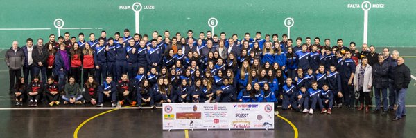 Federación Navarra de Balonmano Profile Banner