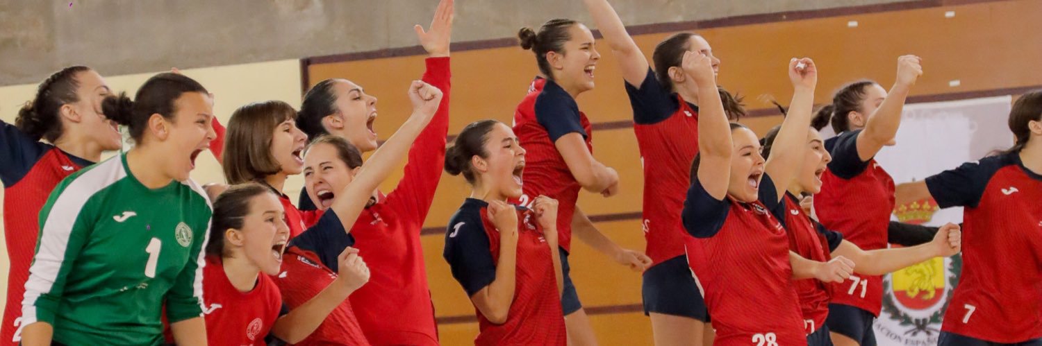 FEDERACIÓN NAVARRA DE BALONMANO banner