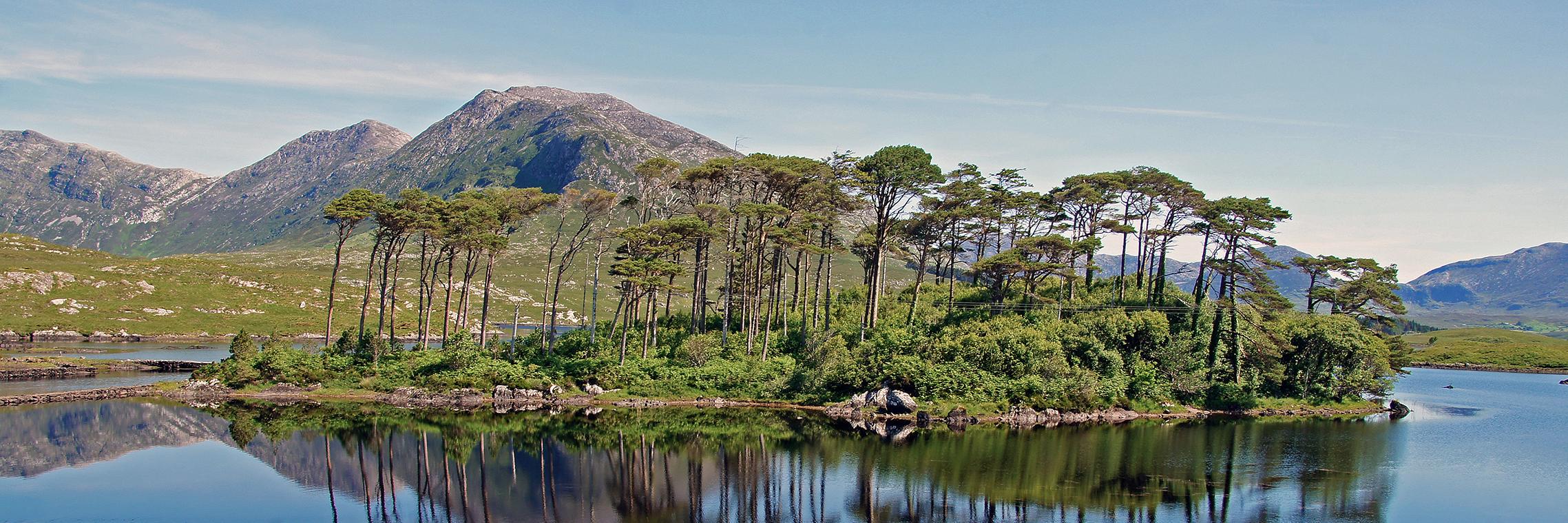 Lally Tours 🇮🇪☘️ banner