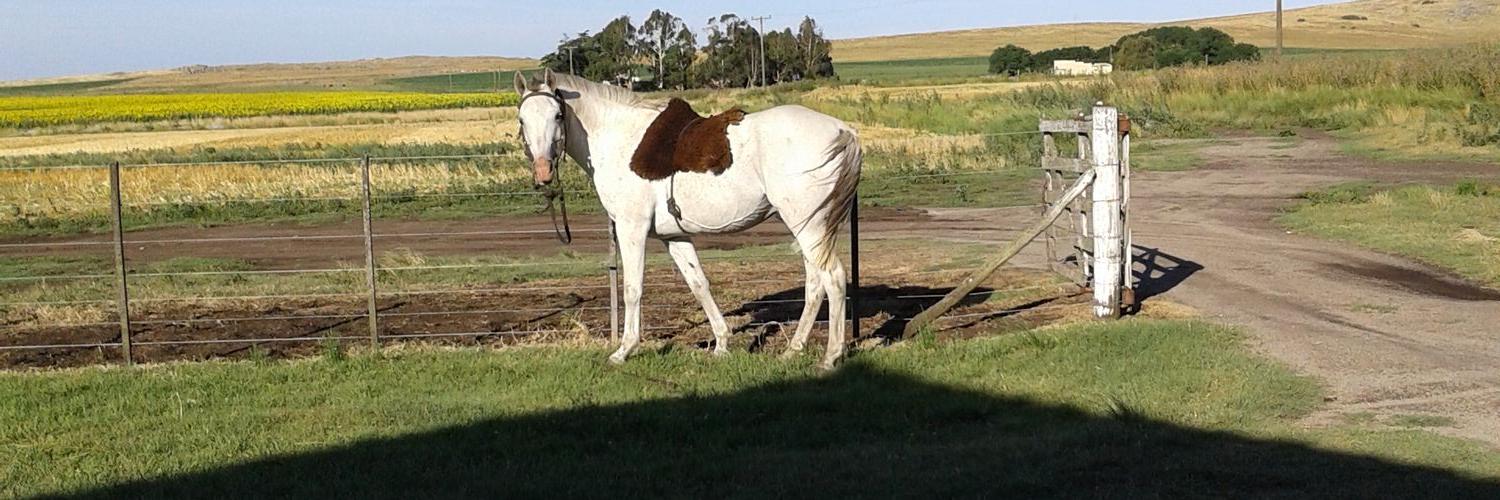 ferrvallejoss's profile banner image