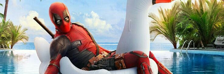 FernandaSWP's profile banner image