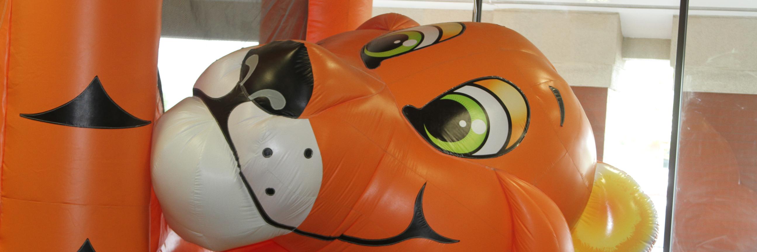 tiger_bounce's profile banner image