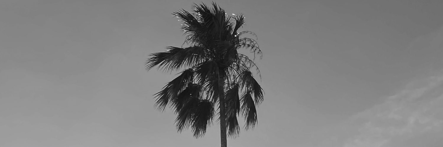 𝔞𝔲𝔰, RPh banner