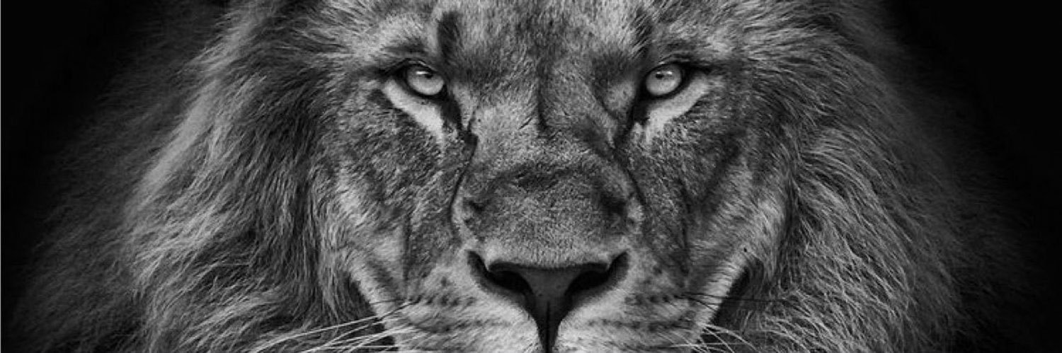 Berga4450's profile banner image