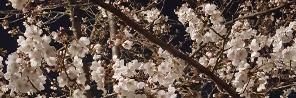 ButttPockets's profile banner image