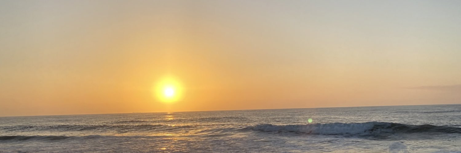 palacioskarinaa's profile banner image