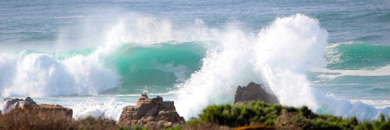 Pierce Johnson banner