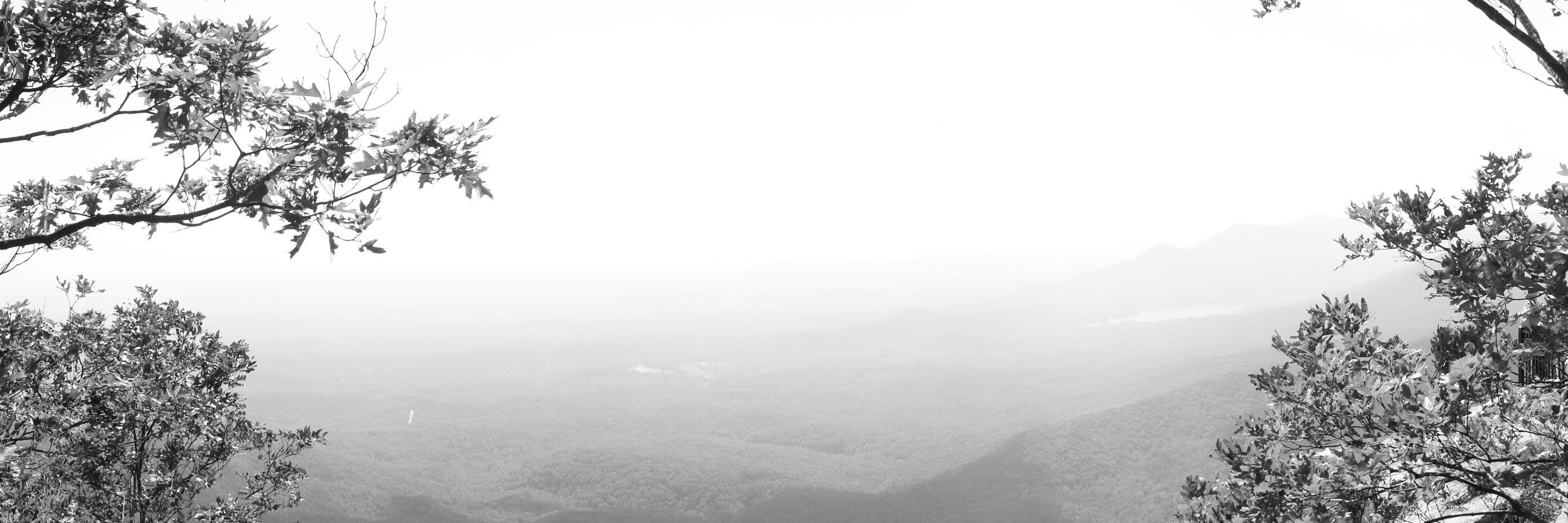 JoniOleson's profile banner image