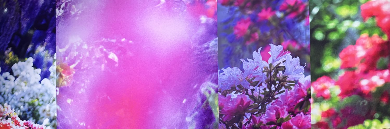 n17asami's profile banner image