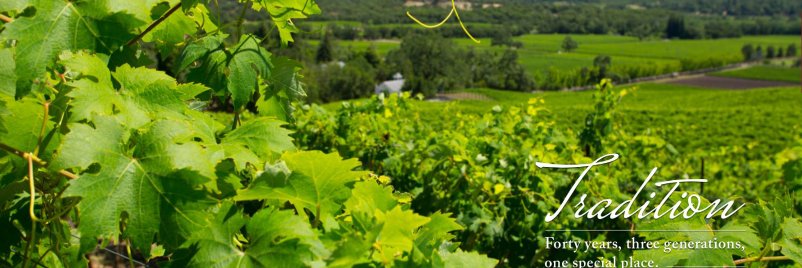 avvwinery's profile banner image