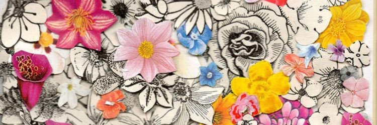 sanroaws___11's profile banner image