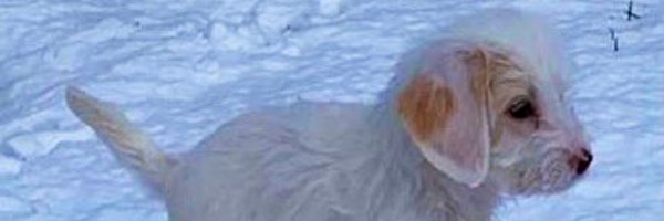 MrsMartin2015 Profile Banner