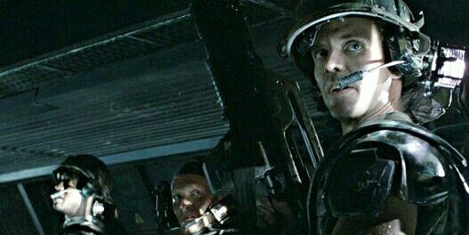 Newt. banner